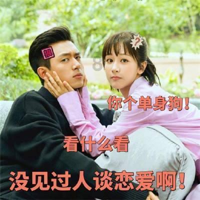 真三国无双8